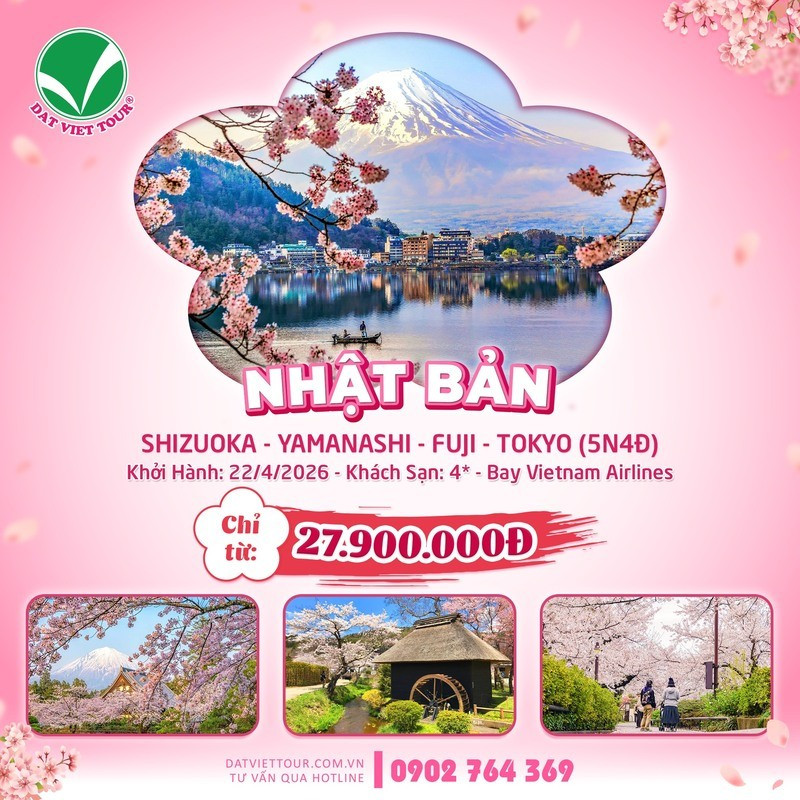 Tour ngắm hoa anh đào Nhật Bản 5N4Đ: Shizuoka - Yamanashi - Fuji - Tokyo Tour ngắm hoa anh đào Nhật Bản 5N4Đ: Shizuoka - Yamanashi - Fuji - Tokyo