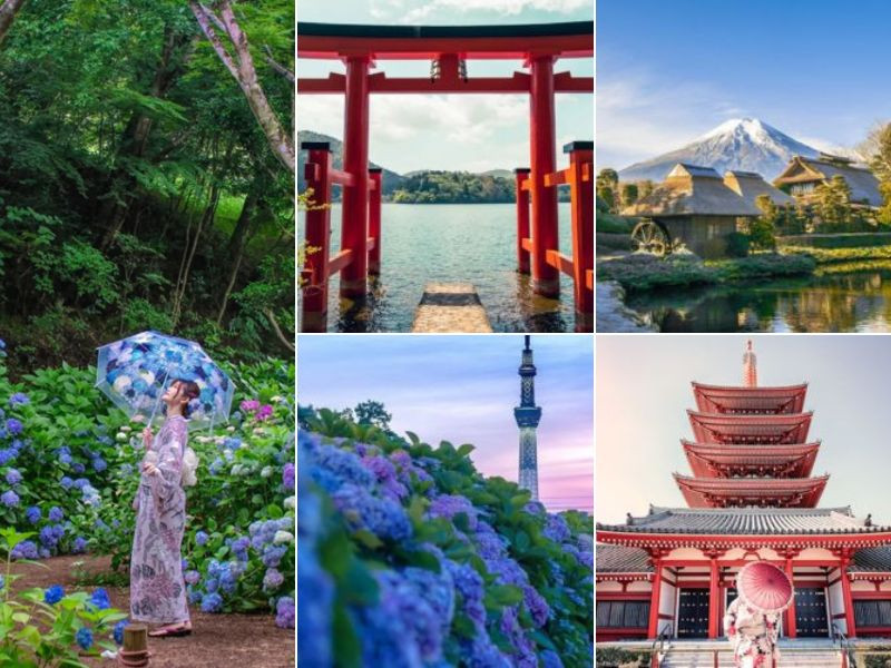 Tour Nhật Bản 6N5D tại Đất Việt Tour