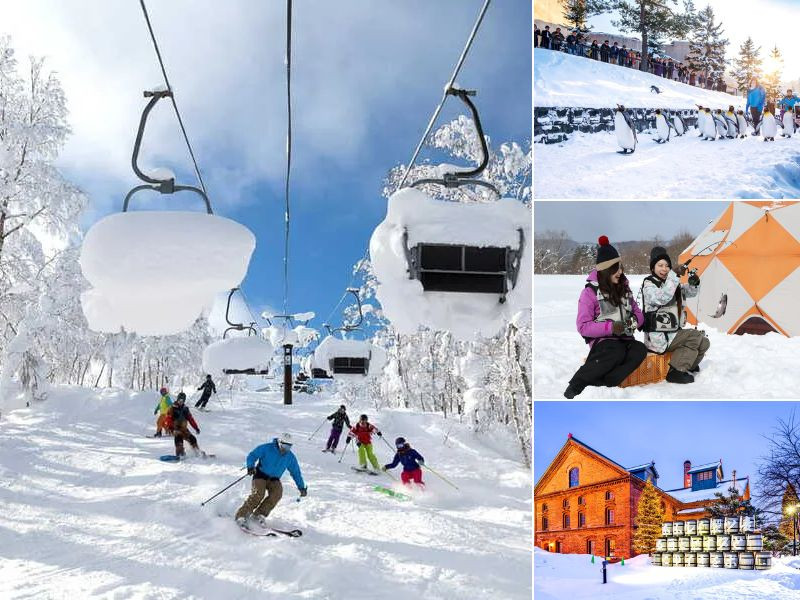 Hành trình mùa đông khác biệt cho chuyến du lịch Nhật Hành trình mùa đông khác biệt cho chuyến du lịch Nhật