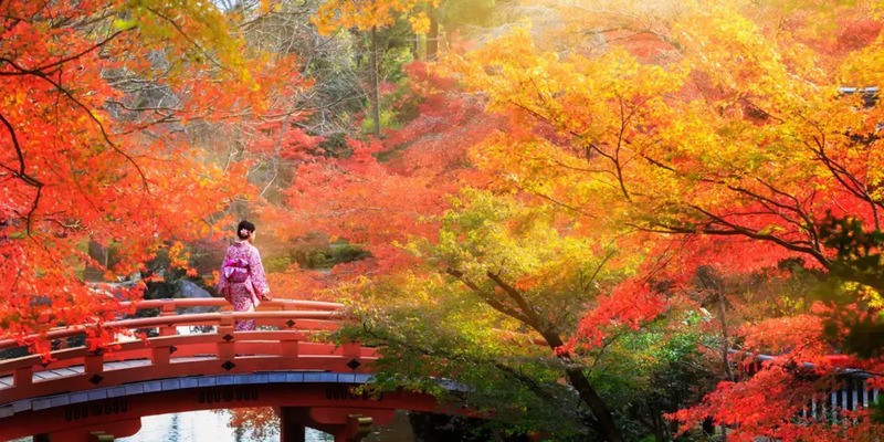 Kyoto vẻ đẹp mùa thu của cố đô (Ảnh sưu tầm)