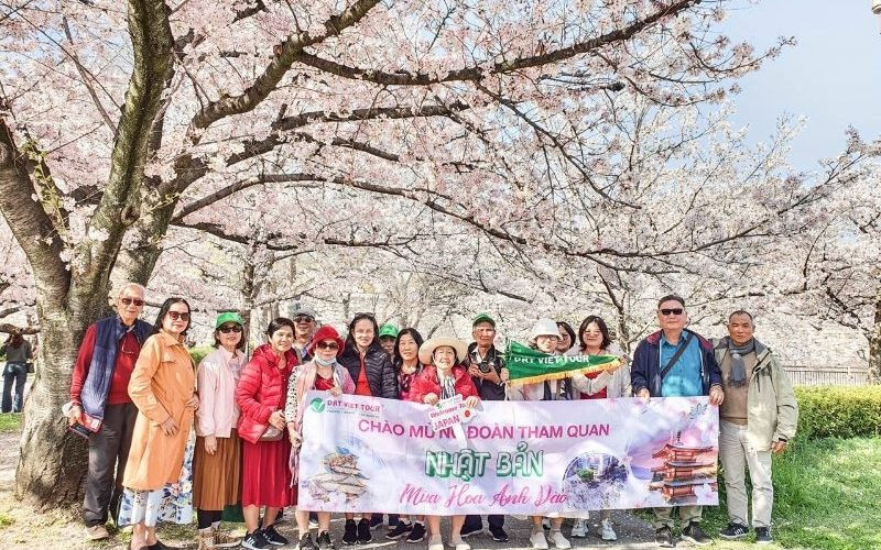 Bí quyết lựa chọn đơn vị tổ chức tour Nhật Bản uy tín
