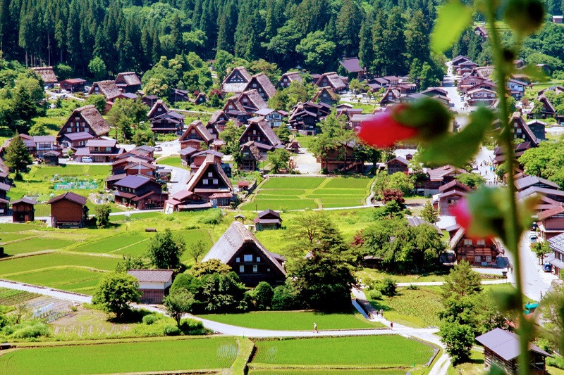 Shirakawa-go là một trong những ngôi làng cổ nhất tại xứ sở phù tang.