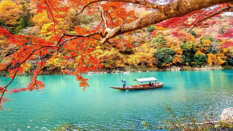 Mùa thu lá đỏ Nhật Bản tuyệt đẹp 
