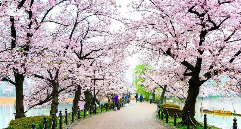 Nhật Bản vào tháng 5