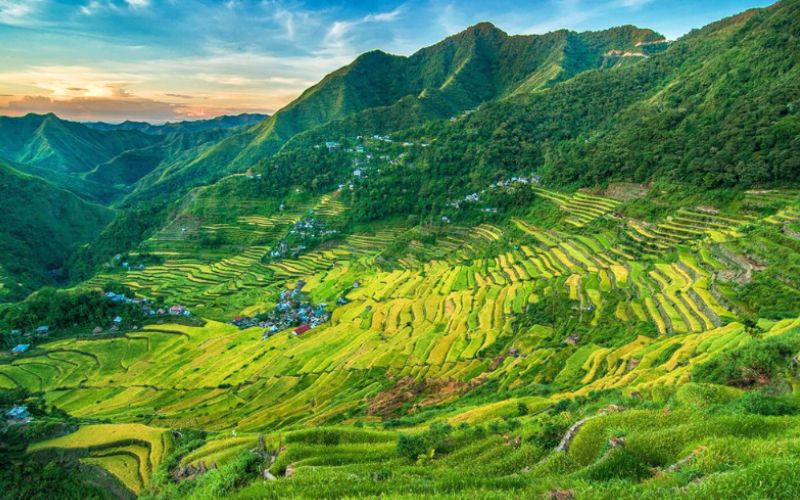 Toàn cảnh ruộng bậc thang Banaue nhìn từ trên cao Toàn cảnh ruộng bậc thang Banaue nhìn từ trên cao