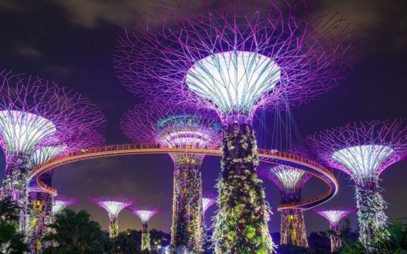 Gardens by the Bay - điểm đến nổi bật khi du lịch singapore lễ 2/9 Gardens by the Bay - điểm đến nổi bật khi du lịch singapore lễ 2/9