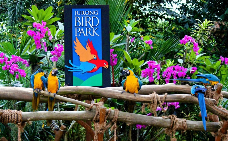 Vườn sinh thái Jurong Bird Park
