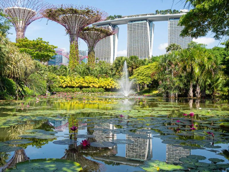 Gardens by the Bay tươi mát giữa lòng thành phố Gardens by the Bay tươi mát giữa lòng thành phố