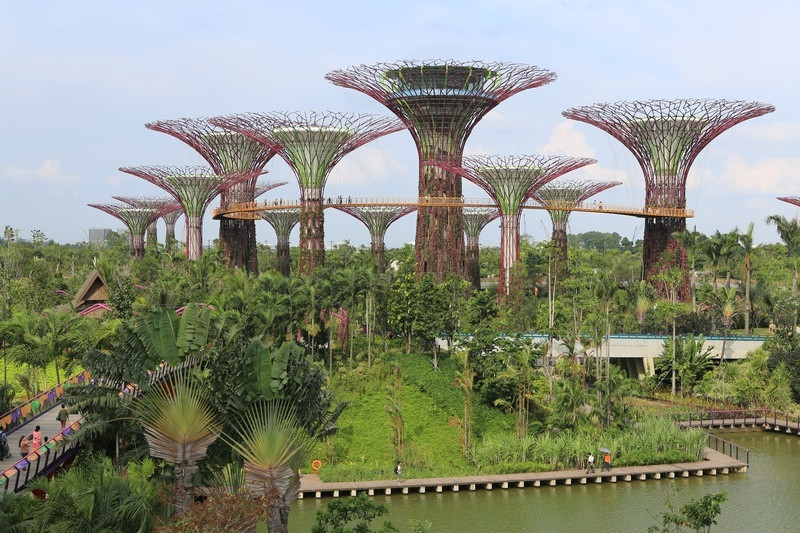 Gardens by the Bay biểu tượng xanh Singapore 
