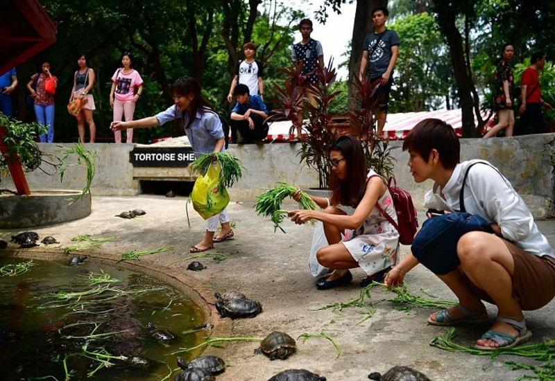 Khu bảo tồn rùa