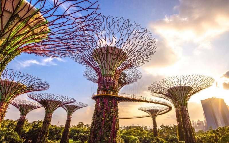 Gardens by the Bay – Khu vườn xanh mướt mang vẻ đẹp huyền ảo