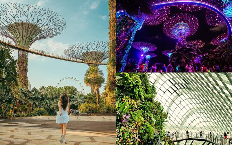 Những trải nghiệm ở Gardens by the Bay - Đẹp mê hồn