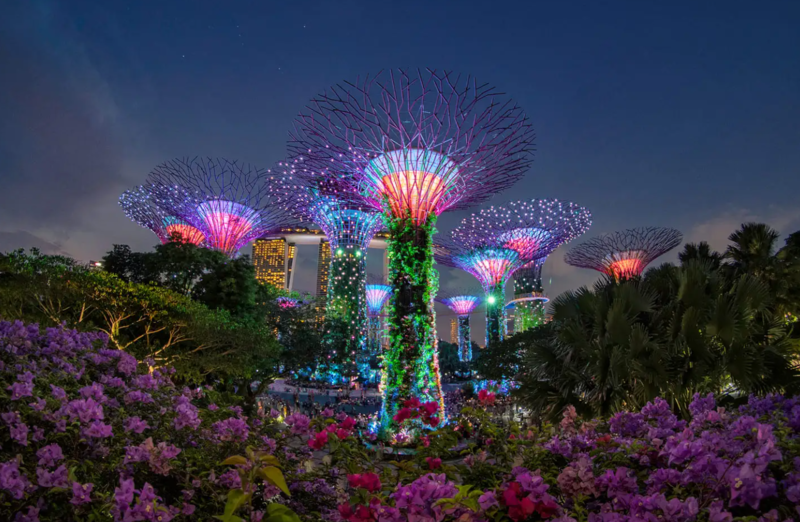 Supertrees ở Gardens by the Bay Supertrees ở Gardens by the Bay