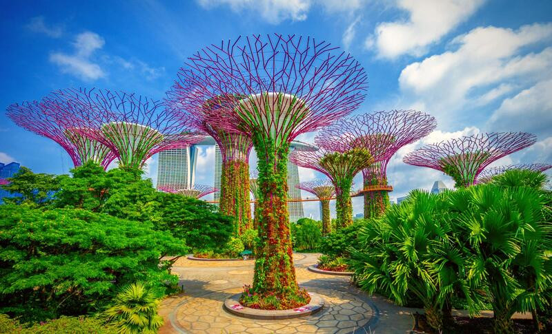 Garden by the Bay