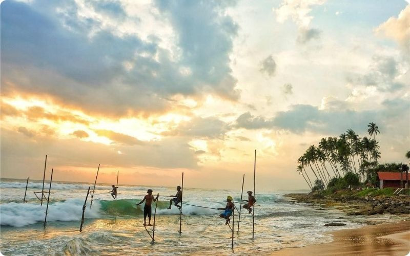 kinh nghiệm đi du lịch Sri Lanka kinh nghiệm đi du lịch Sri Lanka