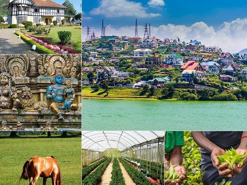 Du lịch Nuwara Eliya - Đắm mình trong vẻ đẹp của thiên nhiên xanh mát 