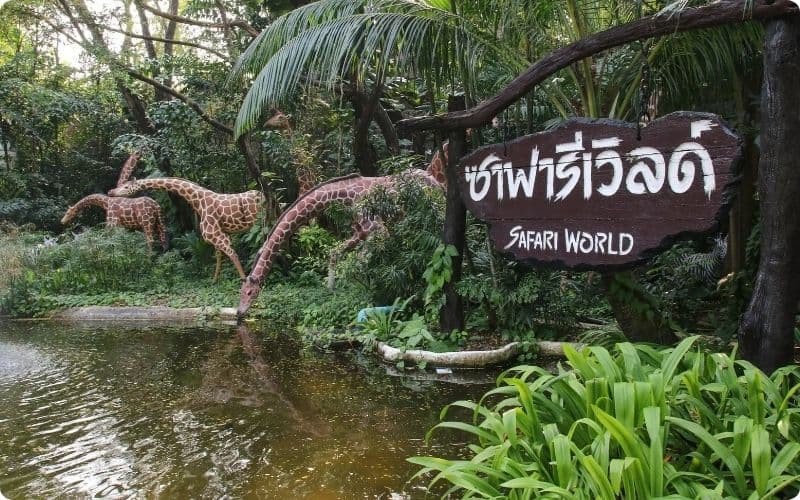 Safari world 