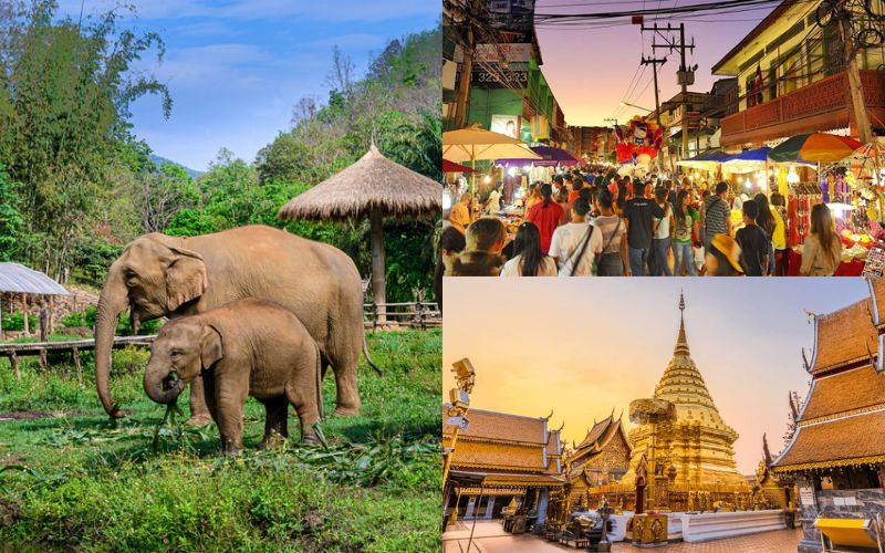 Chiang Mai - Đoá hoa hồng phương Bắc của Thái Lan