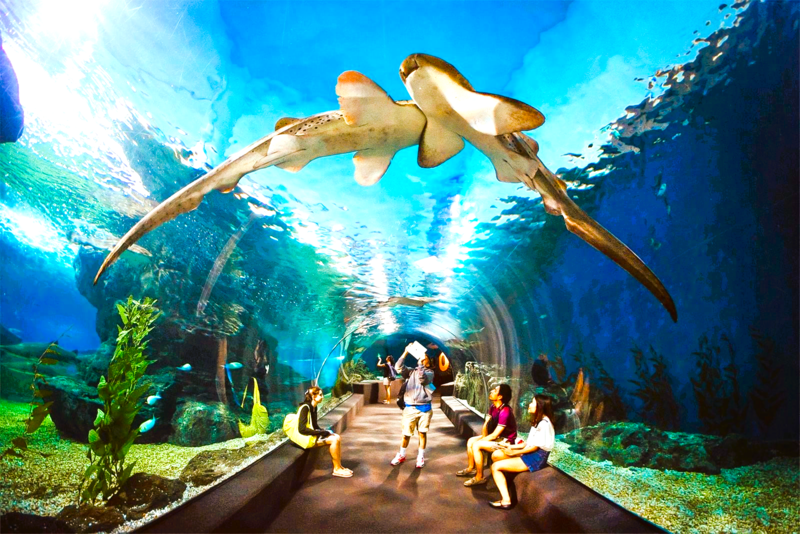 Công viên Underwater World Pattaya nổi tiếng