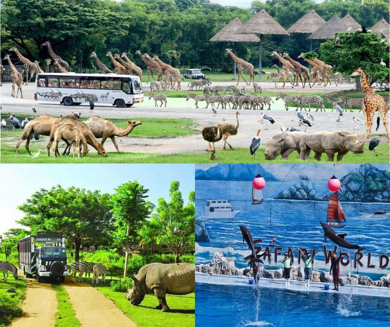 Hệ sinh thái đa dạng tại Safari World