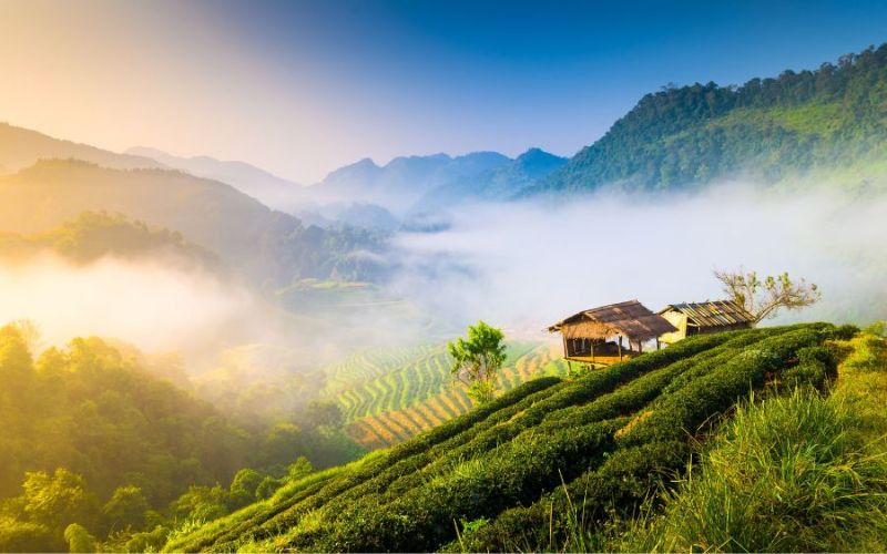 Thái Lan rực rỡ dưới nắng vàng và bầu trời xanh trong Thái Lan rực rỡ dưới nắng vàng và bầu trời xanh trong
