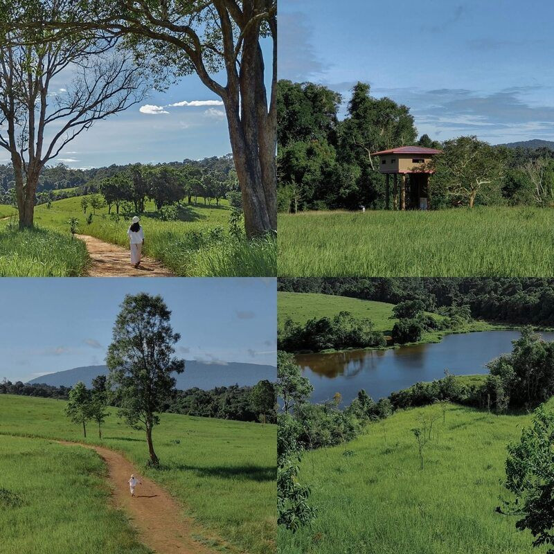 Trạm quan sát động vật Nong Phak Chi - Khao Yai