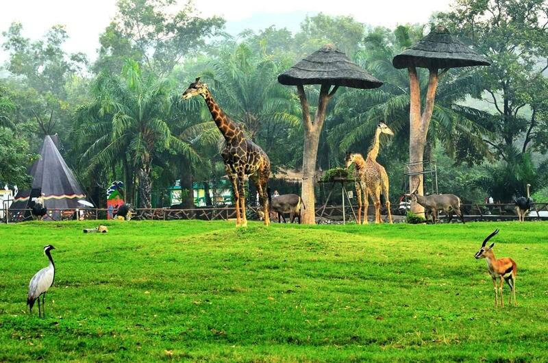 Vườn quốc gia Khao Kheow Open Zoo