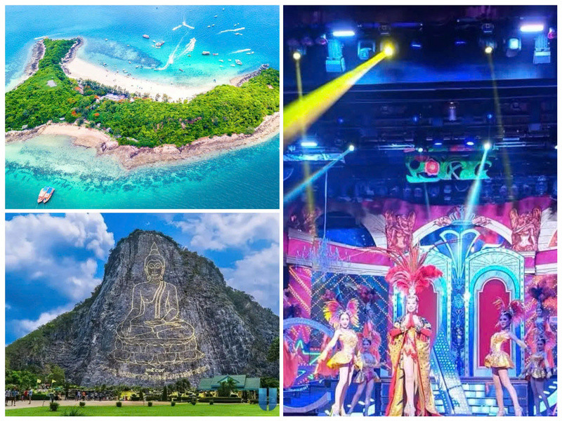 Trải nghiệm lặn ngắm san hô & Show Alcazar