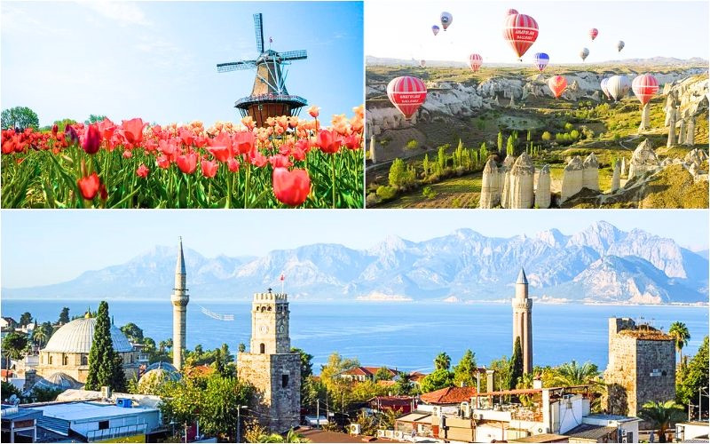 Mùa du lịch Thổ Nhĩ Kỳ ngập tràn sắc hoa tulip rực rỡ