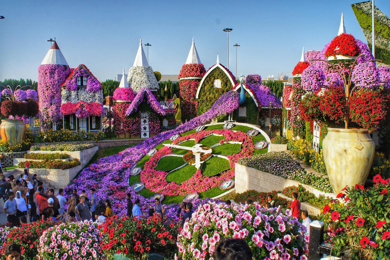 Vườn hoa Miracle Garden - Khu vườn kỳ diệu ở Dubai