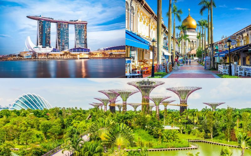 Không gian hiện đại hòa quyện cùng sắc xanh
