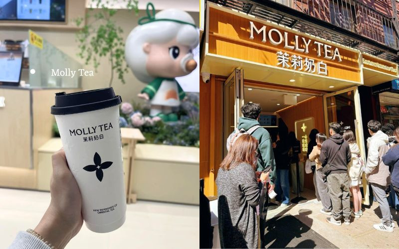 Molly Tea nổi bật với trà sữa thơm hương hoa nhài 
