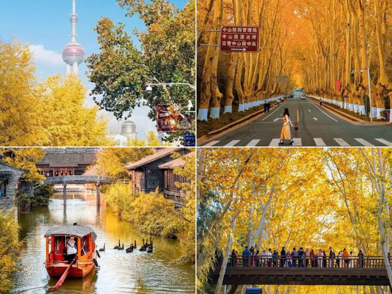 Các điểm đến nổi bật trong tour Thượng Hải - Hàng Châu