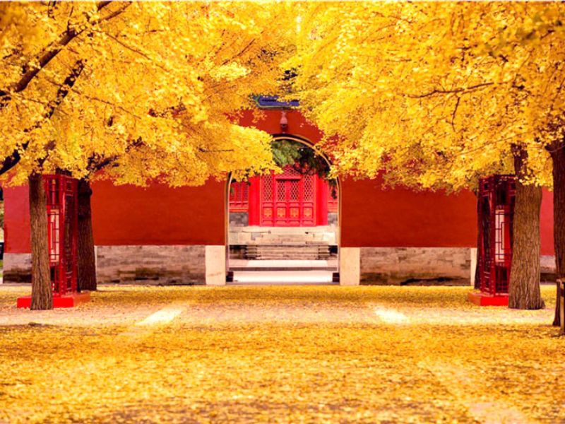 Kinh nghiệm tham quan Tử Cấm Thành mùa thu