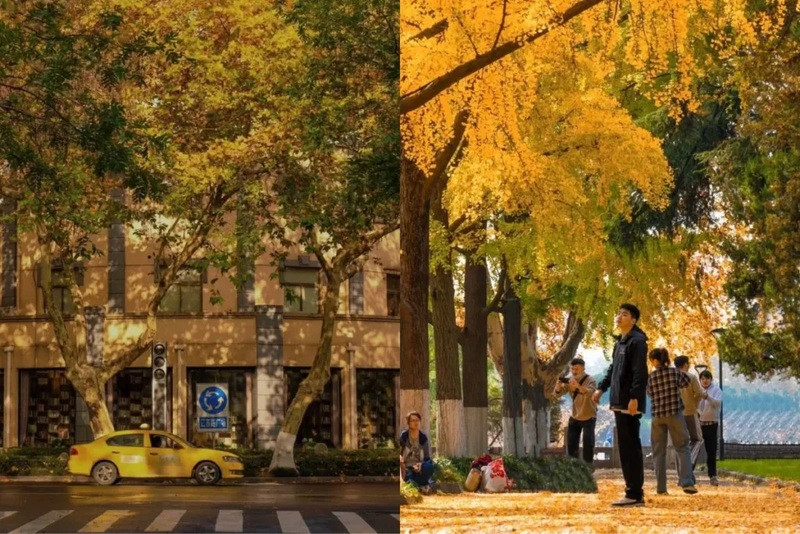 Thời tiết Nam Kinh về thu (Ảnh sưu tầm) Thời tiết Nam Kinh về thu (Ảnh sưu tầm)