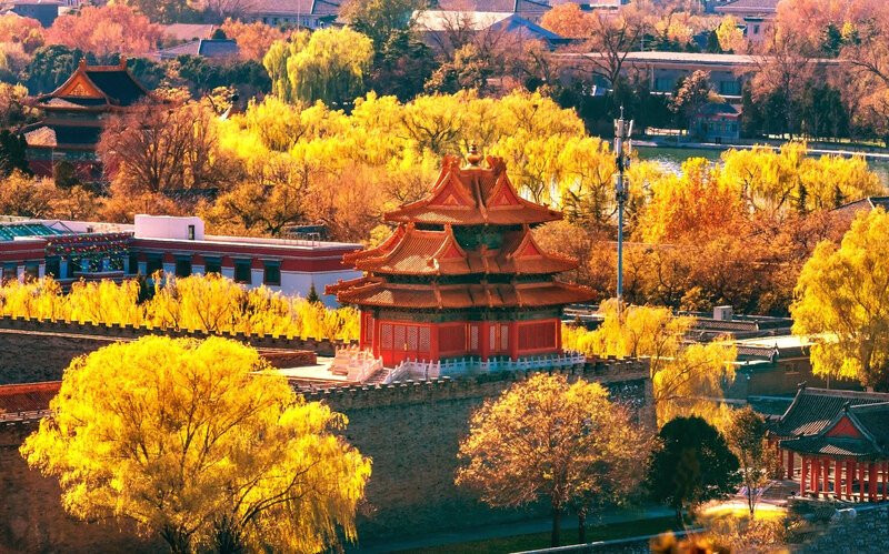 Tử Cấm Thành với hình ảnh lá vàng xen lẫn kiến trúc lâu đời