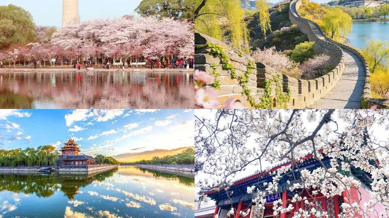 Bắc Kinh tràn ngập màu sắc vào mùa xuân