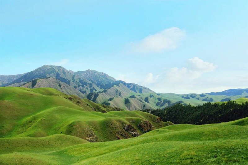 Cảnh quan ở thảo nguyên Cam Hải Tử