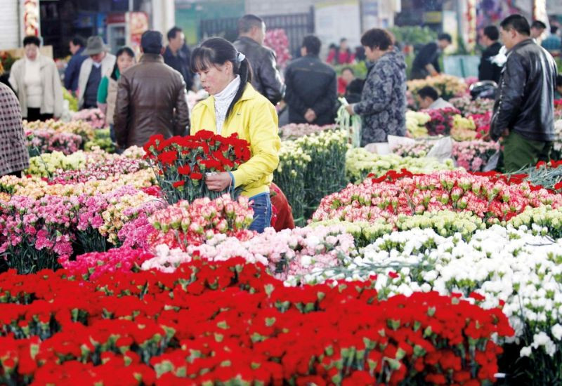 Vẻ đẹp Côn Minh trong tour Trung Quốc tết 2025