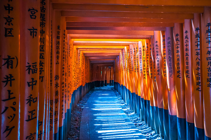 Những chiếc cổng Torii 