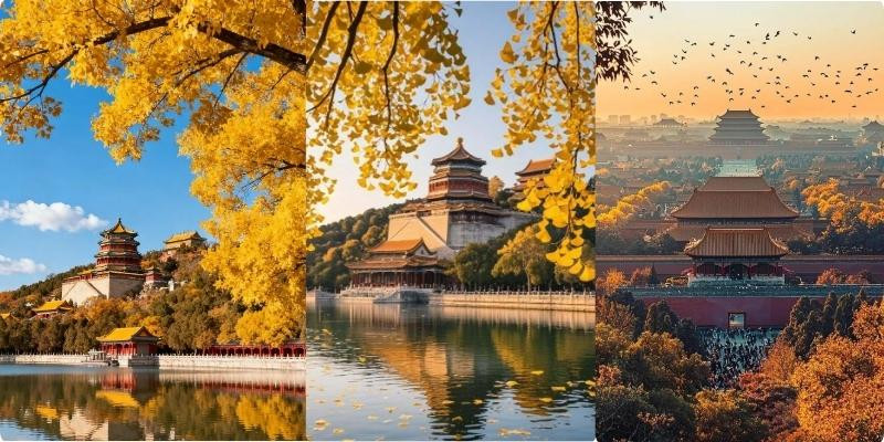 Công trình cổ kính hòa cùng sắc vàng mùa thu