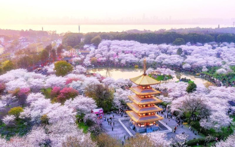 Công viên Hồ Đông vẻ đẹp bình yên giữa lòng Vũ Hán