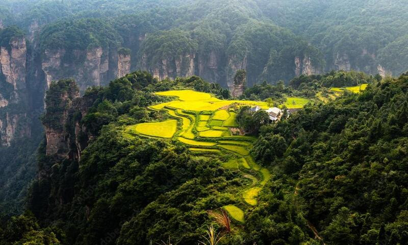 Công viên rừng quốc gia Wulingyuan