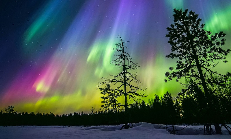 Cực quang rừng Đại Hưng An Cực quang rừng Đại Hưng An