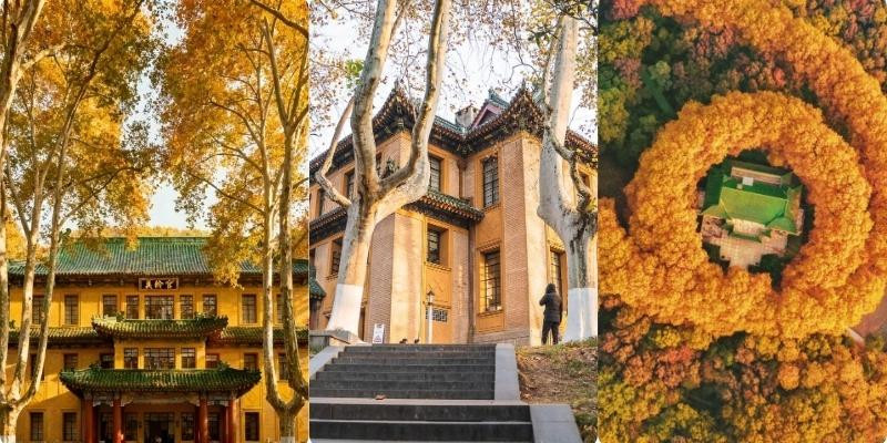 Cung điện Mỹ Linh kiến trúc mang dấu ấn lịch sử Cung điện Mỹ Linh kiến trúc mang dấu ấn lịch sử