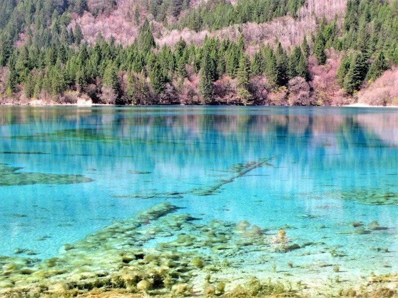 Cửu Trại Câu tháng 4 đẹp mê ly