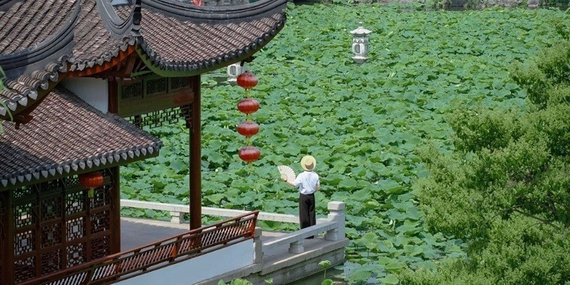 Hình ảnh vườn Khúc Viện