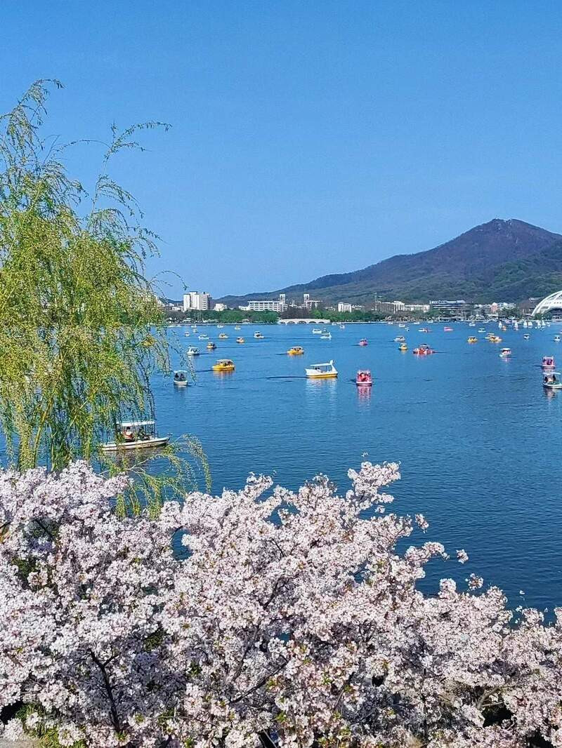 Trải nghiệm đạp vịt giữa tiết trời mát mẻ Trải nghiệm đạp vịt giữa tiết trời mát mẻ