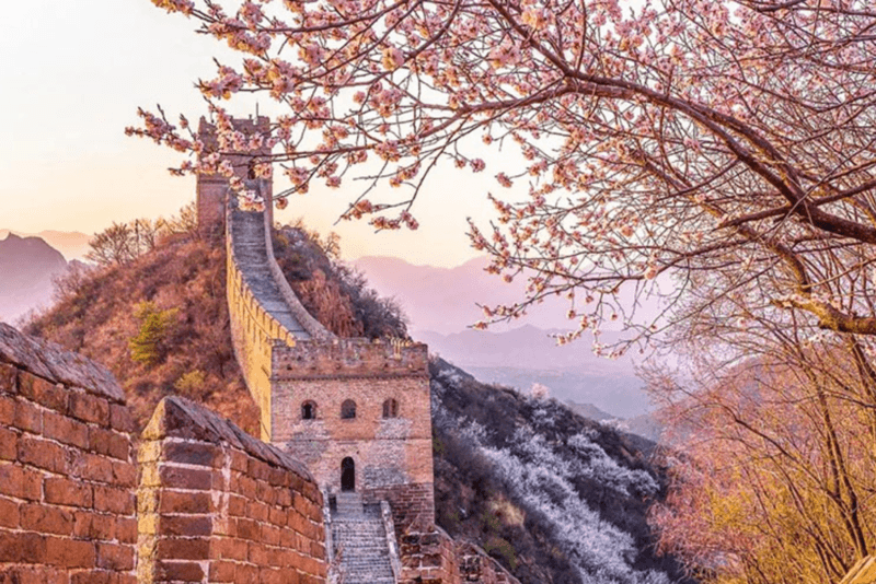 Hoa anh đào lãng mạn kết hợp thiên nhiên hùng vĩ tại Bắc Kinh Hoa anh đào lãng mạn kết hợp thiên nhiên hùng vĩ tại Bắc Kinh