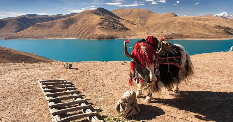 Du lịch Tây Tạng trải nghiệm thú vị